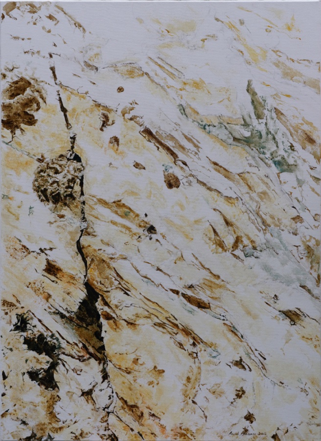 Roche première II 100x73 cm